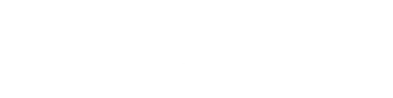 MPO500